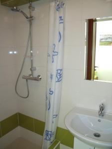 a bathroom with a shower curtain and a sink at Penzion Farmer Kapušany in Kapušany