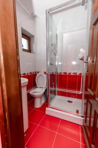 a red bathroom with a toilet and a shower at Complex Stefanesti in Bozovici