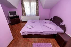 Dormitorio púrpura con cama y TV en Complex Stefanesti, en Bozovici