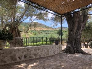un gran árbol junto a una valla con vistas en Roba Degli Ulivi, en Agrigento