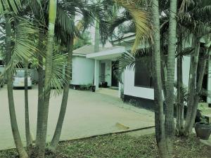 una calle con palmeras frente a una casa en Transit Airport B&B, en Dar es Salaam