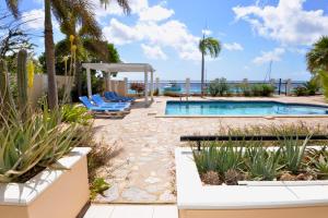 a swimming pool with lounge chairs and palm trees at Play Lechi appartement 4 in Kralendijk