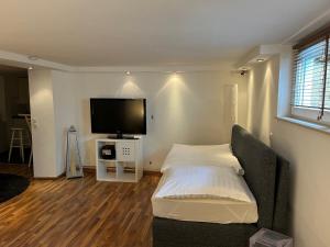 Detmold - Hiddesen - Premium - Appartement في ديتمولد: غرفة نوم بسرير وتلفزيون بشاشة مسطحة