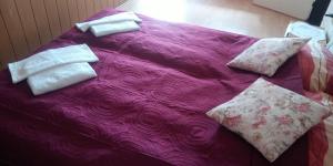 ein lila Bett mit Kissen darauf in der Unterkunft Hotel Priehrada in Dedinky + 26 Fotos