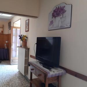 una TV a schermo piatto seduta sopra un tavolo di legno di Residenza la Viola a Casaprota