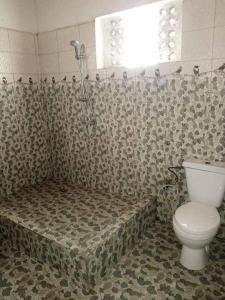 een badkamer met een toilet en een douche. bij TAMATAVE Chez Bien Aimée in Toamasina