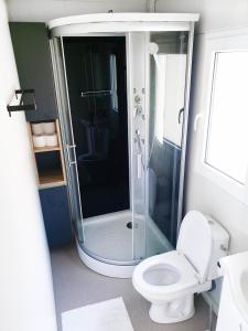 ein Bad mit einem WC und einer Glasdusche in der Unterkunft Starlight mobile house by Kolpa river in Gradac