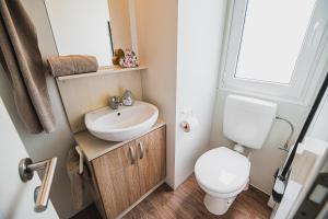 a small bathroom with a toilet and a sink at Lake View Mobile Homes with Thermal Riviera Tickets in Terme Čatež in Čatež ob Savi