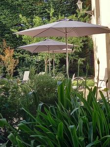 deux parapluies assis l'un à côté de l'autre dans une cour dans l'établissement Le Petit Matin, à Bayeux