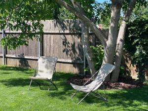 two chairs sitting in the grass next to a tree at Tschardakenhof Appartements in Lutzmannsburg