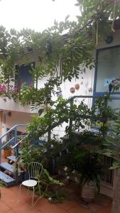 a room with a bunch of plants and a chair at Barud Gedera Israel in Gedera