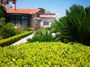 ein Haus mit einem Garten mit gelben Blumen in der Unterkunft Natalie Apartments in Artemida