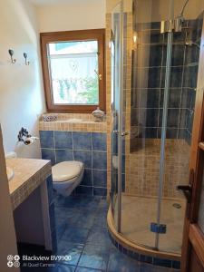 uma casa de banho com um chuveiro, um WC e um lavatório. em Chambre La Lavandula Col de Turini 