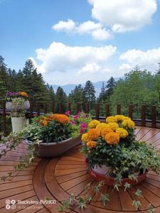 two pots of flowers on a wooden deck at Chambre La Lavandula Col de Turini in Granges de Faisset +9 photos