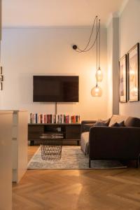 TV a/nebo společenská místnost v ubytování Apartment in historischer Villa mit Parkplatz