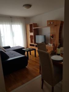TV i/ili multimedijalni sistem u objektu Apartman Nicol