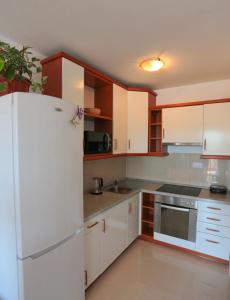 Kuchyň nebo kuchyňský kout v ubytování Apartman Nicol