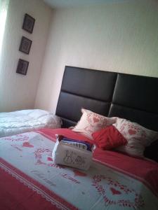 Ένα ή περισσότερα κρεβάτια σε δωμάτιο στο # Prix "Travellers Awards 2023 et 2024" LAC LEMAN Velos Viarhôna Geneve Annecy