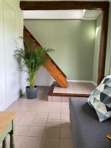 a living room with a staircase and a plant at Gite Au Chant d'Eole in Ebly
