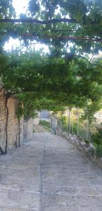 an archway with green trees and a stone path at Green Forest in Berat