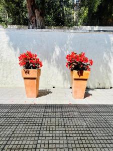 deux pots de fleurs rouges assis sur un trottoir dans l'établissement Studios Afitos, à Afytos