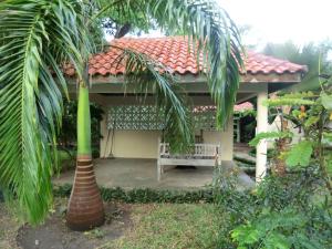 una casa con una palmera delante en Villa Lamuhouse Diani Beach, en Diani Beach