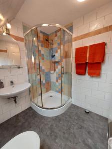 a bathroom with a shower and a sink at Apartment 1 Unter den Eichen 