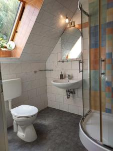 a bathroom with a toilet and a sink at Apartment 1 Unter den Eichen 