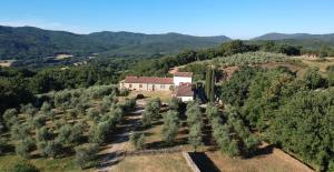 Vue aérienne d'une maison sur une colline arborée dans l'établissement Collepetrucci, à Ciciano