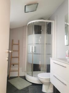 a bathroom with a shower and a toilet at La cosy house Tourcoing in Tourcoing