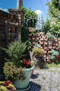 a garden with a bunch of plants and a brick wall at Studio Apartment Romeo in Velika Gorica
