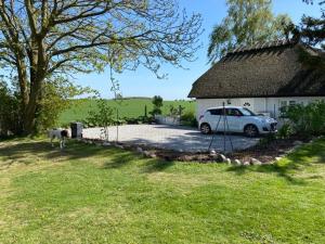 Zahrada ubytování Svalebølle Bed & Breakfast
