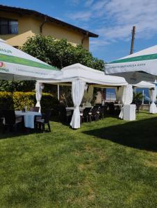 Zahrada ubytování Zafo Hotel