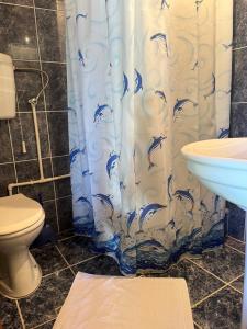 une salle de bain avec toilettes et rideau de douche dans l'établissement Apartman A&A, à Žabljak 22 autres photos