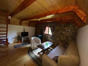 un salon avec un canapé et un mur en pierre dans l'établissement Apartman A&A, à Žabljak