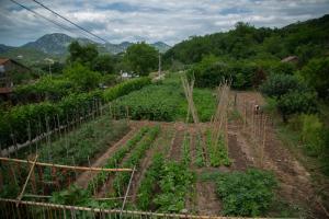 Φυσικό τοπίο κοντά σε αυτή η παραθεριστική κατοικία