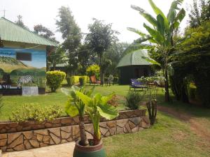 una planta en una olla en un jardín en Songota Falls Lodge, en Arusha