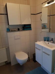 Vorder BollhagenにあるFerienwohnung Margareteのトイレ、洗面台、鏡のあるバスルーム +11枚の写真