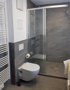 a bathroom with a toilet and a glass shower at Ferienwohnung Hehl in Burgberg