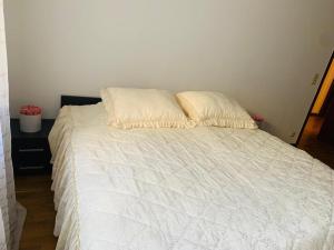 ein weißes Bett mit zwei Kissen darüber in der Unterkunft Im Süden in Ettenheim