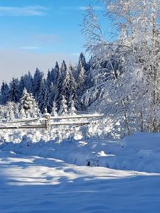 un bosque nevado con un puente y árboles en Cabana Dor de-Acas / Restaurant Dor de-Acas en Gura Haitii