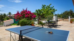 a ping pong table with a ping pong racket on it at Cozy Algarve Home with Vineyard View Near Beaches in Porches
