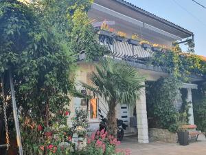 a house with a palm tree in front of it at Apartments Dora in Crikvenica