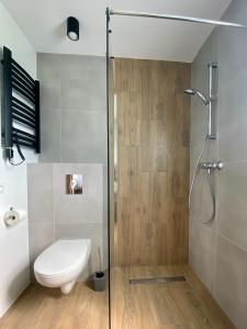 a bathroom with a toilet and a glass shower at Chachatki Kopalino in Kopalino