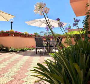 Zahrada ubytování Anthea B&B + 28 fotografií