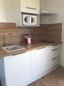 a kitchen with a sink and a microwave at Gite au coeur du pays Cathare in Verzeille +3 photos