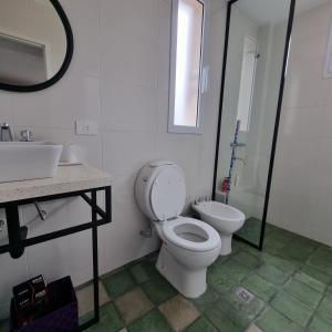 a bathroom with a toilet and a sink at CASA MARGARITA 5Piso Mono Verde Oscuro in San Salvador de Jujuy +3 photos