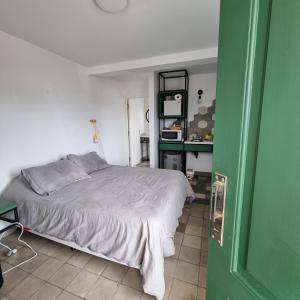 a bedroom with a bed and a green door at CASA MARGARITA 5Piso Mono Verde Oscuro in San Salvador de Jujuy