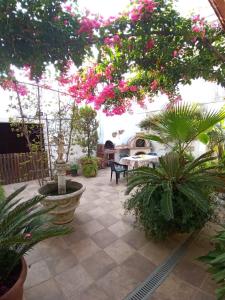 un patio con flores rosas y plantas en un edificio en Casa vacanza Il Giardino, en Supersano