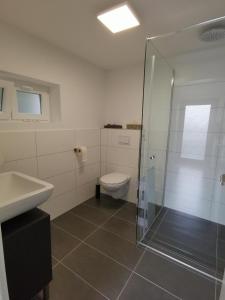 a bathroom with a toilet and a sink and a shower at Moderne Wohnung mit Terrasse und eigenem Zugang. in Remscheid